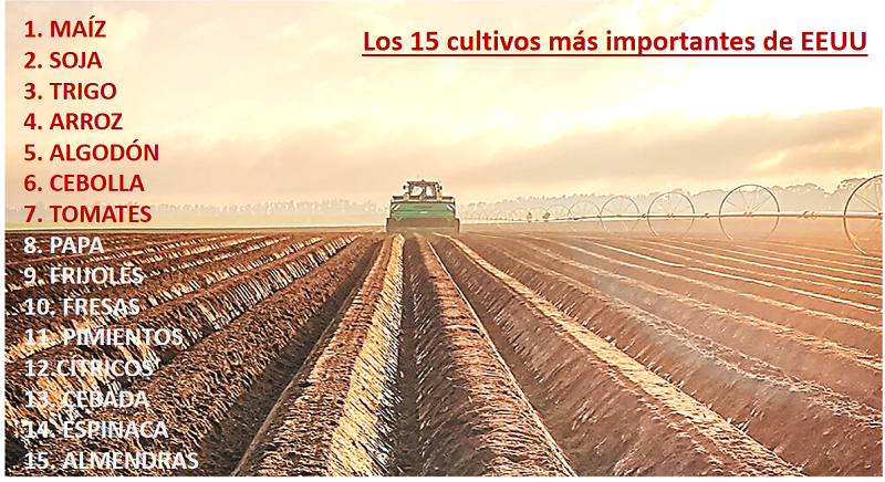 Las 15 plantas más cultivadas en Estados Unidos (dónde y por qué se cultivan)