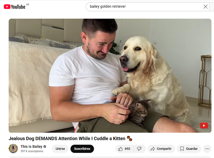 canal de youtube del golden bailey